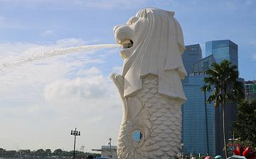 在新加坡的中國公民注意防范登革熱
