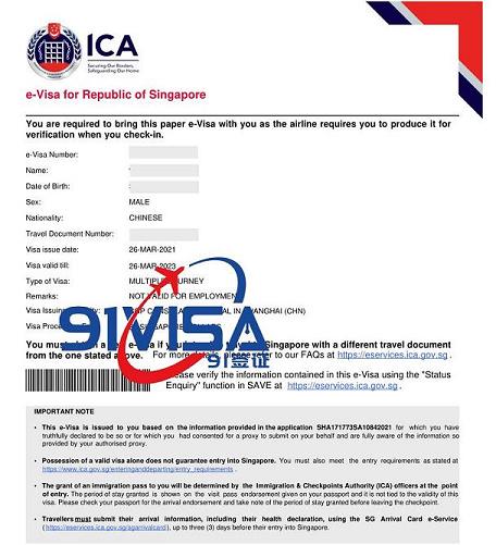 辦新加坡旅游簽證，上海王先生成功出簽-【91簽證網】