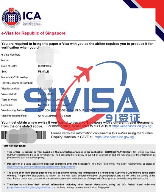 辦新加坡旅游簽證，廣州張女士成功出簽-【91簽證網】